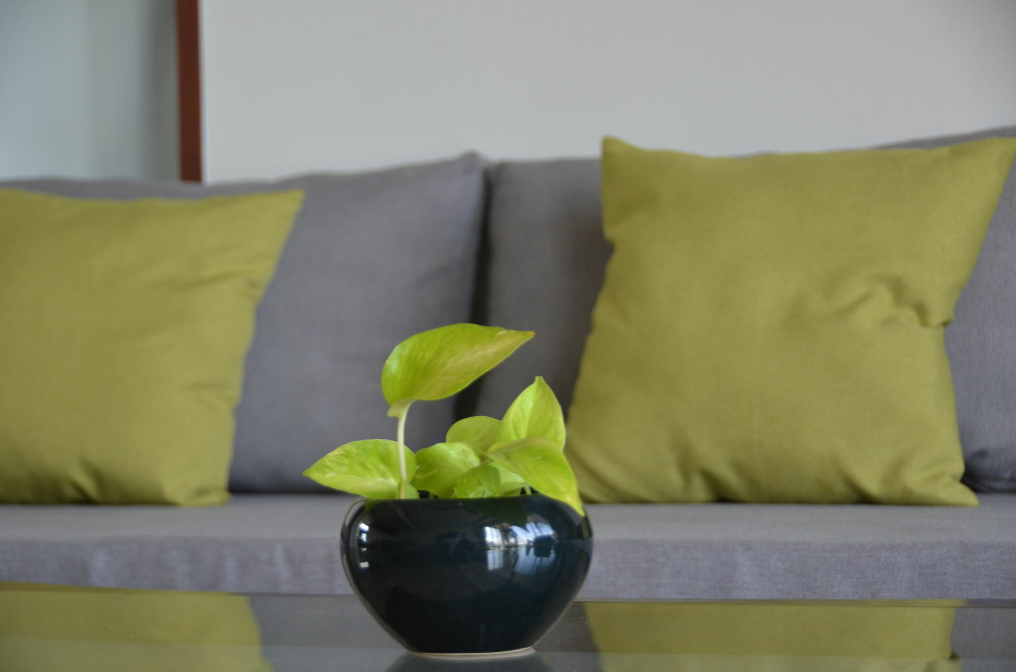 Filia D'Angkor Boutique Villa เสียมราฐ ภายนอก รูปภาพ